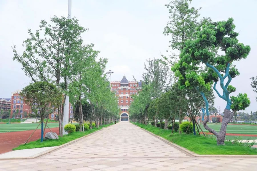 宜宾华体hth登录入口国际学校