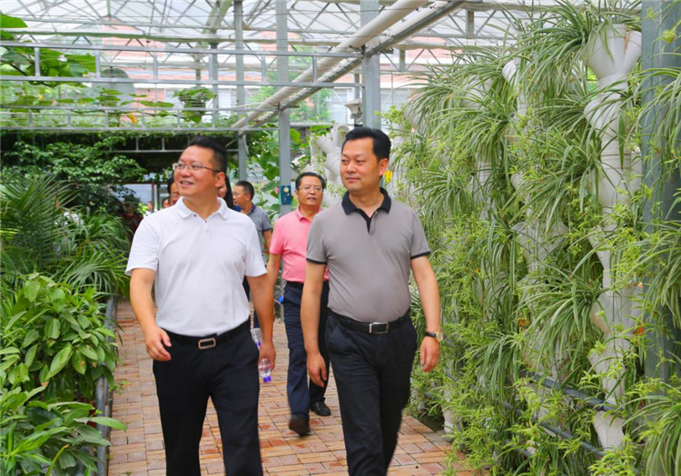 涪城区邓辉区长一行莅临华体hth登录入口集团视察调研2.jpg