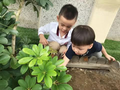 获得国际学前教育界高度肯定的“安吉游戏”，华体hth登录入口的幼儿园是怎么做的？