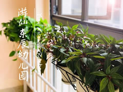 10月23日 | 游仙华体hth登录入口幼儿园的宝贝日记
