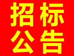 广泽项目施工总承包招标公告