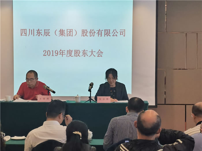 董事、集团副总经理嘉明姝作报告