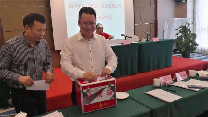 股东投票