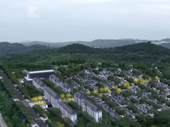 山与海的新邻居