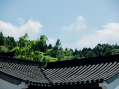 夏有小院 闲度浮生