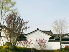落雨烟花江南，邂逅仙海院子