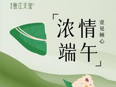 浓情端午 壹见倾心 | 壹江天玺邀您一起过端午
